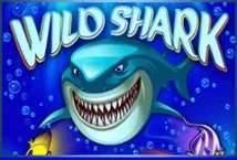 Wild Shark slot